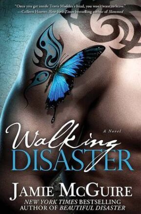 Book Summary Walking Disaster