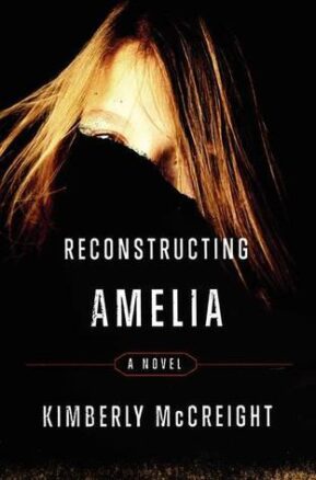 Book Summary Reconstructing Amelia