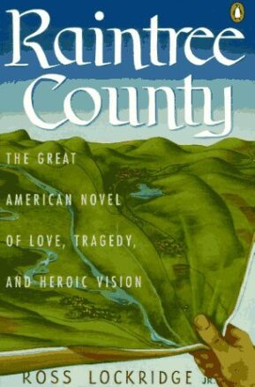 Book Summary Raintree County