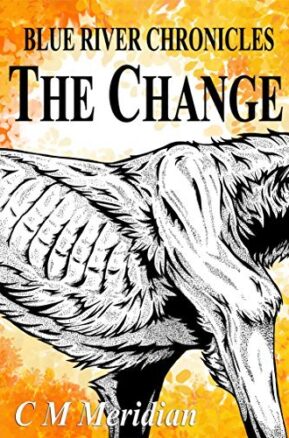 Book Summary The Change
