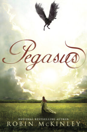 Book Summary Pegasus