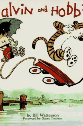 Book Summary Calvin and Hobbes