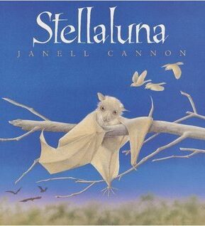 Book Summary Stellaluna