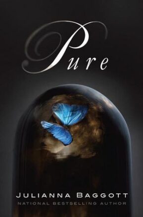 Book Summary Pure