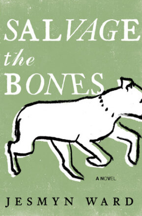 Book Summary Salvage the Bones