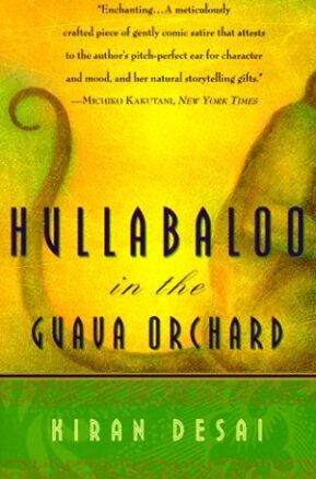 Book Summary Hullabaloo in the Guava Orchard