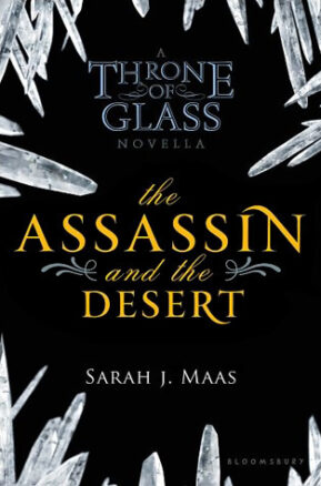 Book Summary The Assassin and the Desert