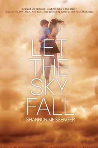 Book Summary Let the Sky Fall