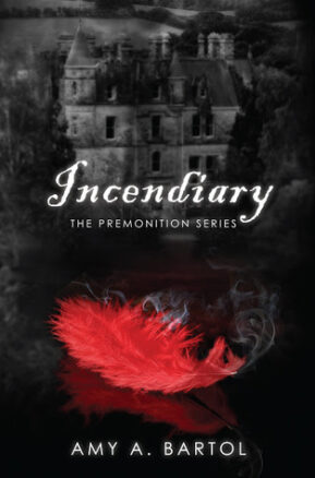 Book Summary Incendiary