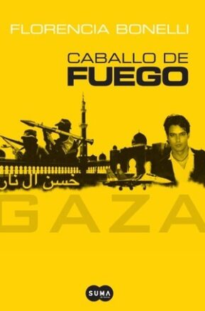 Book Summary Gaza