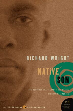 Book Summary Native Son