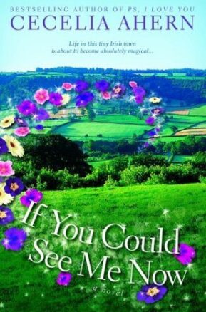Book Summary If You Could See Me Now