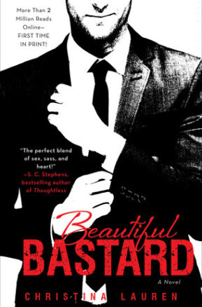 Book Summary Beautiful Bastard