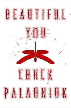 Book Summary Beautiful You