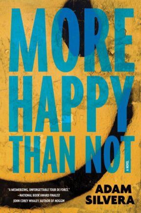 Book Summary More Happy Than Not