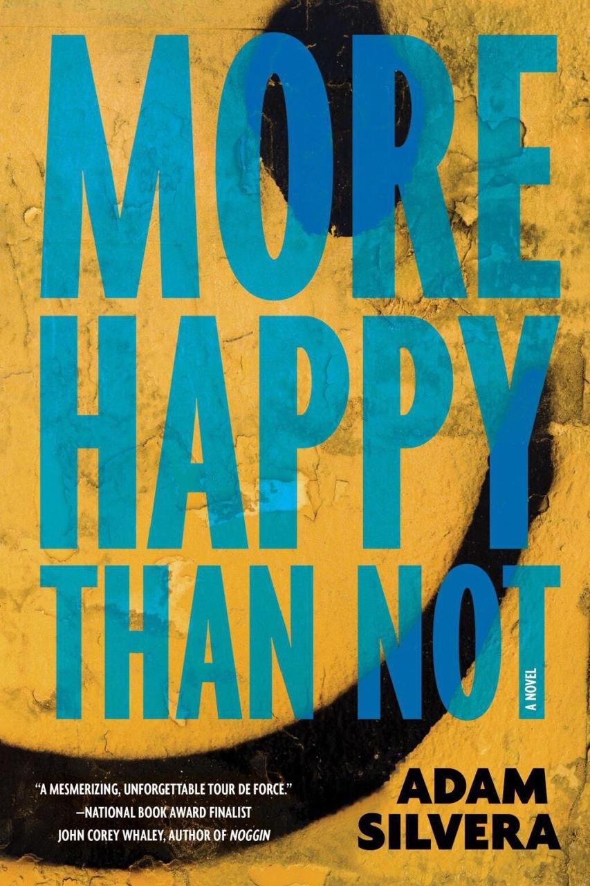 Book Summary More Happy Than Not