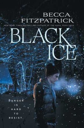 Book Summary Black Ice