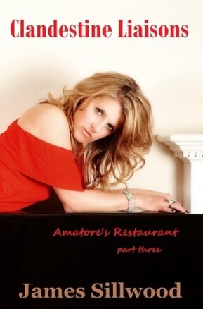 Book Summary Clandestine Liaisons