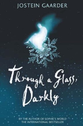 Book Summary Through a Glass, Darkly