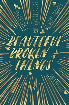 Book Summary Beautiful Broken Things
