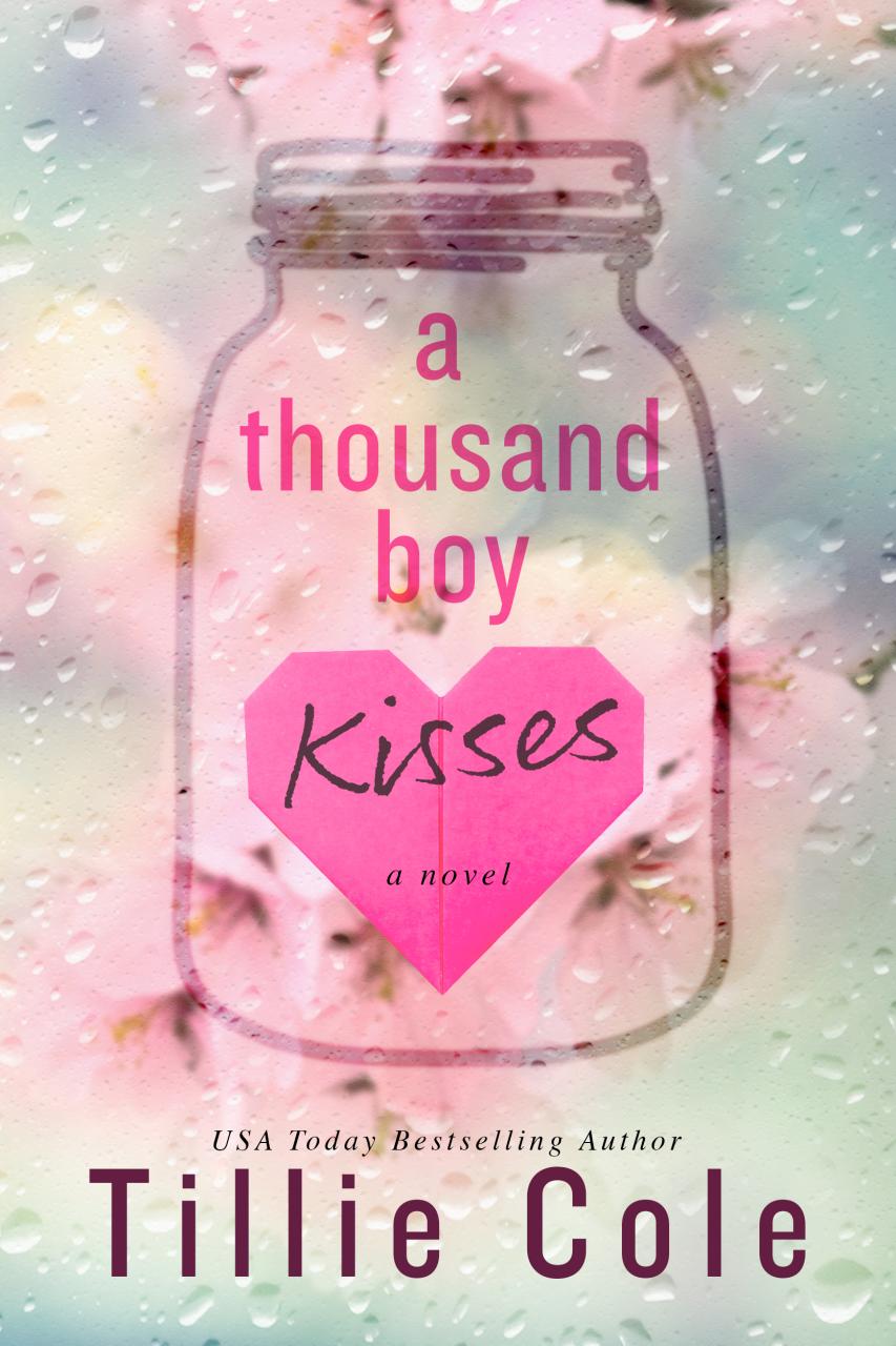 Book Summary A Thousand Boy Kisses