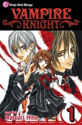 Book Summary Vampire Knight, Vol. 1