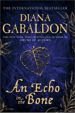 Book Summary An Echo in the Bone