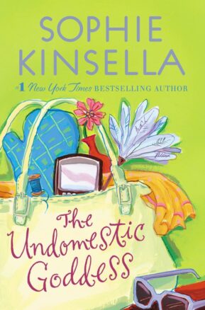 Book Summary The Undomestic Goddess