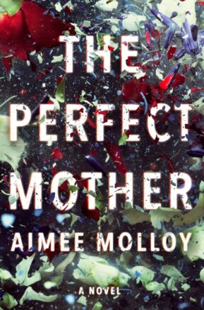 Book Summary The Perfect Mother