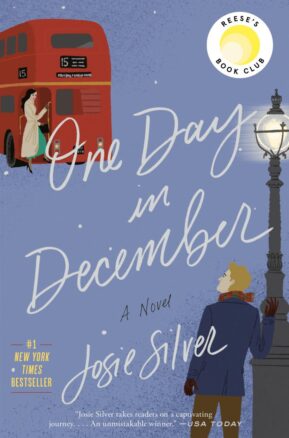 Book Summary One Day in December