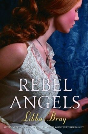 Book Summary Rebel Angels