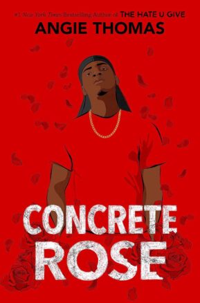Book Summary Concrete Rose