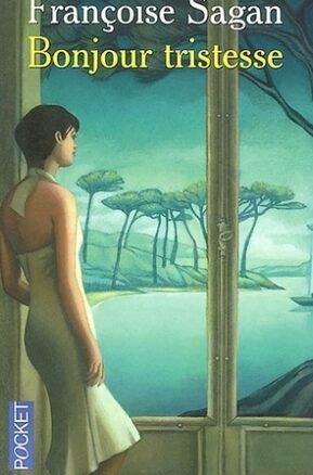 Book Summary Bonjour tristesse
