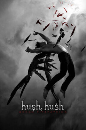 Book Summary Hush, Hush