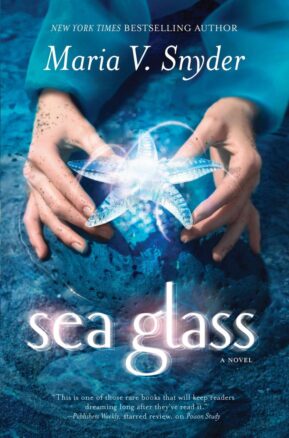Book Summary Sea Glass