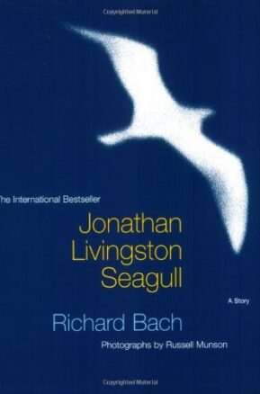 Book Summary Jonathan Livingston Seagull