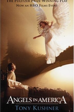Book Summary Angels in America