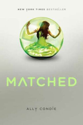 Book Summary Matched