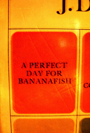 Book Summary A Perfect Day for Bananafish
