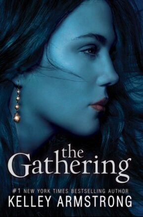 Book Summary The Gathering