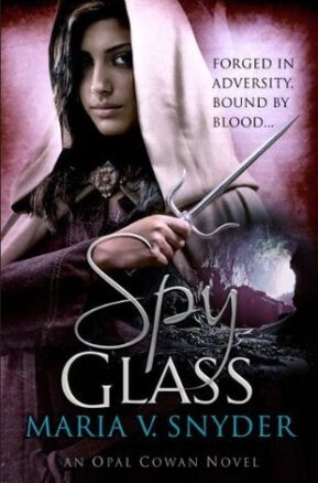 Book Summary Spy Glass