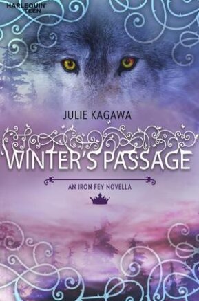 Book Summary Winter's Passage