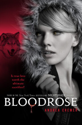 Book Summary Bloodrose
