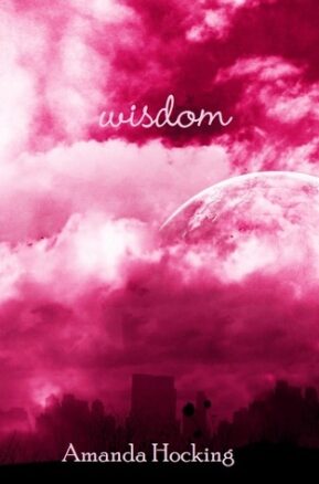 Book Summary Wisdom