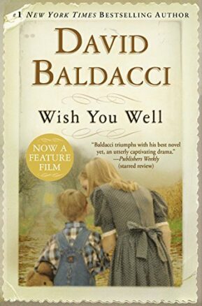 Book Summary Wish You Well