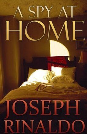 Book Summary A Spy at Home