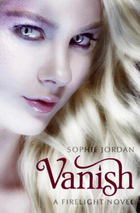 Book Summary Vanish