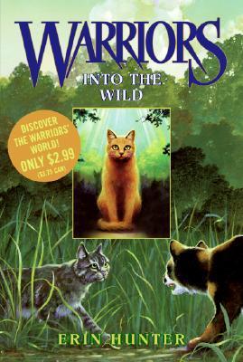 Book Summary Into the Wild