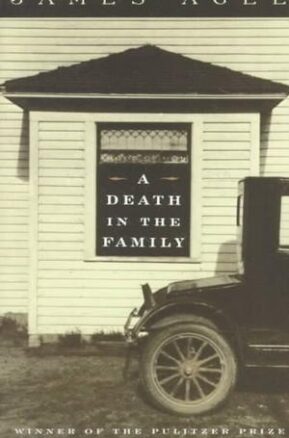 Book Summary A Death in the Family