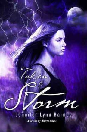 Book Summary Taken by Storm